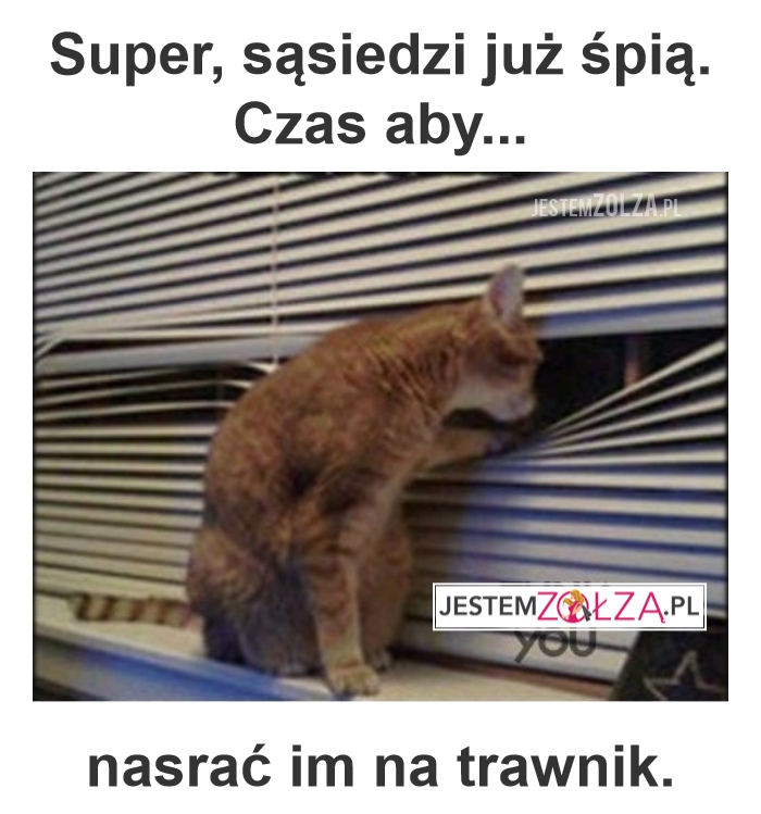 Sąsiedzi