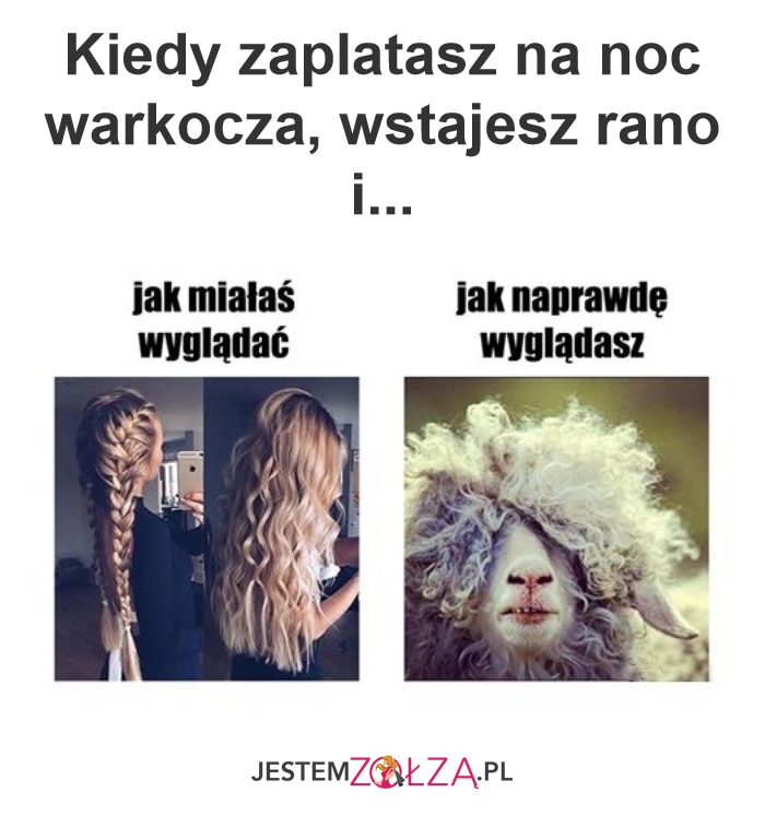 Warkocz