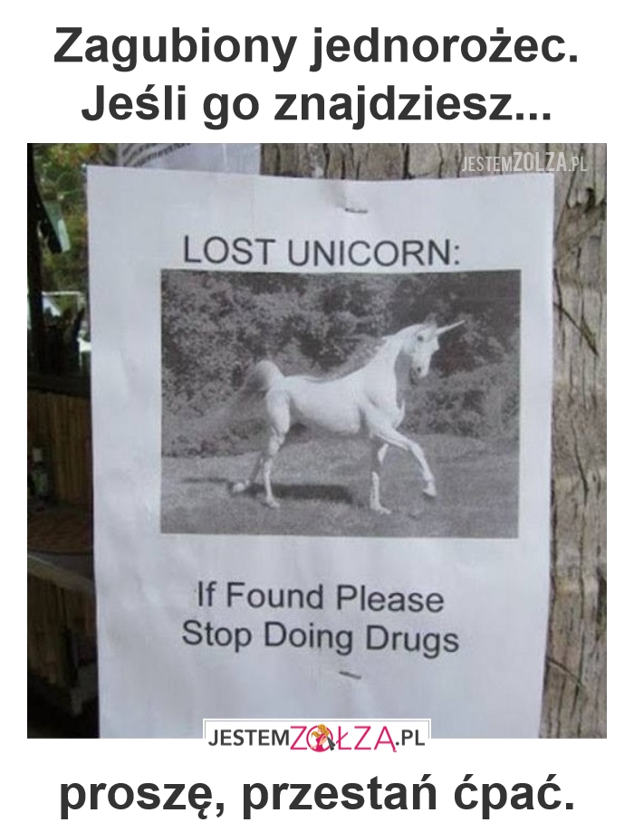 Jednorożec