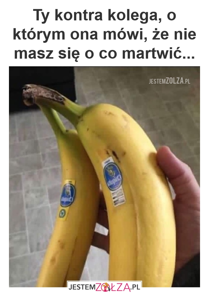 Kolega