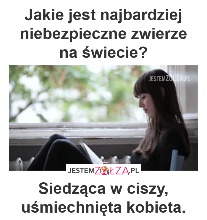 Drapieżnik