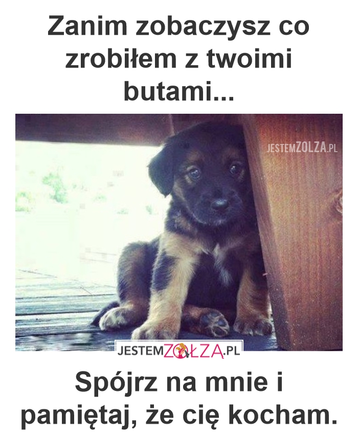 Psiaczek