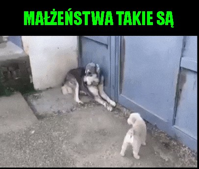 Małżeństwo