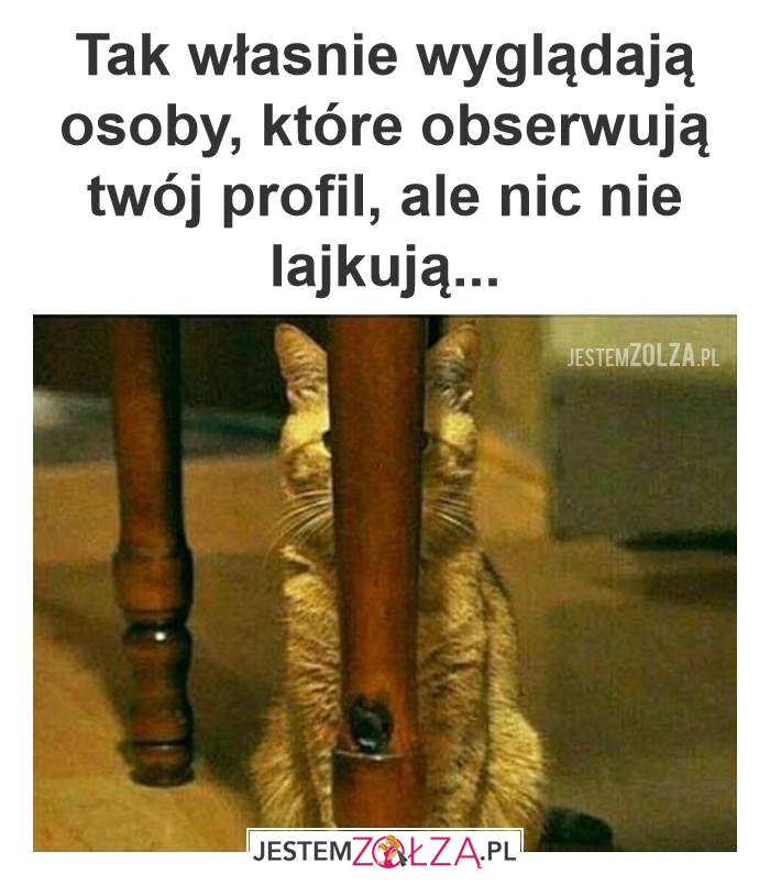 Cichy obserwator