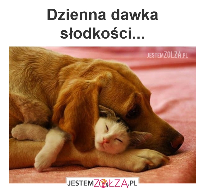 Słodkości