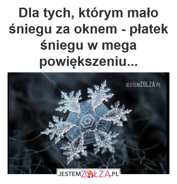 Śnieg