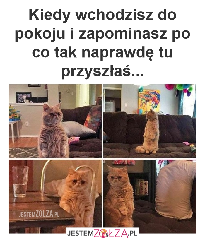 Po co?
