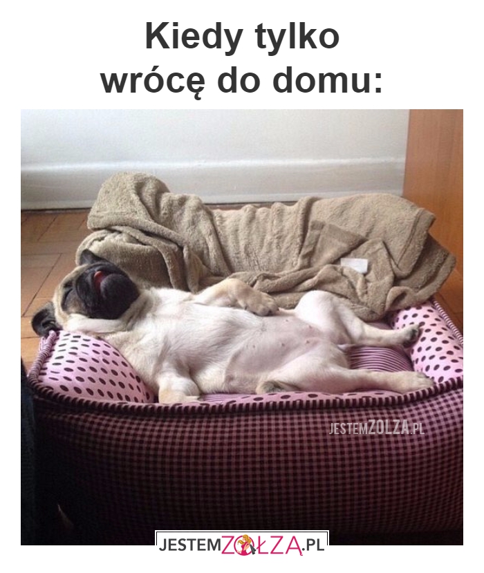 kiedy tylko