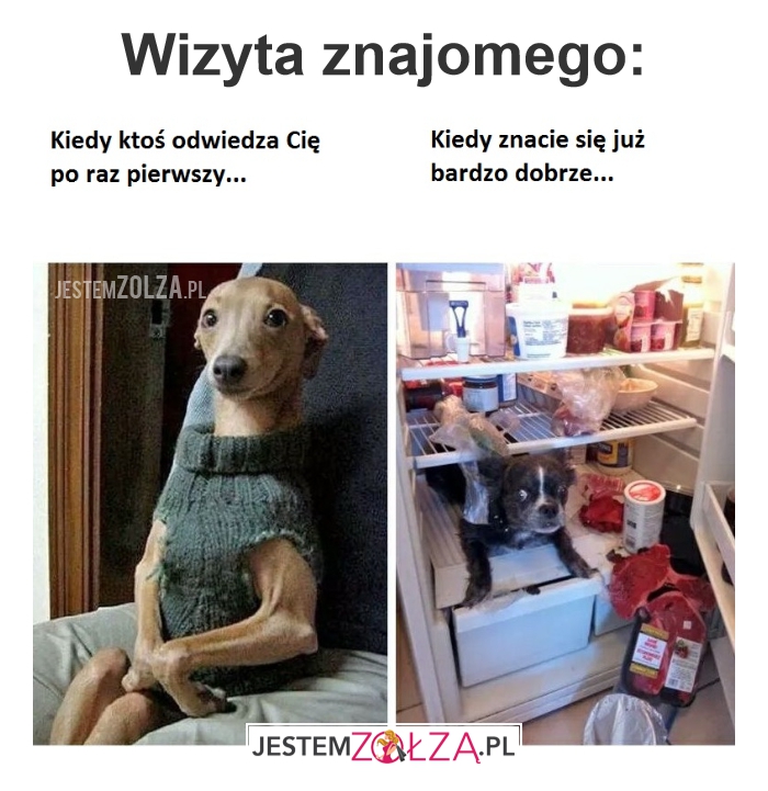 Różnice