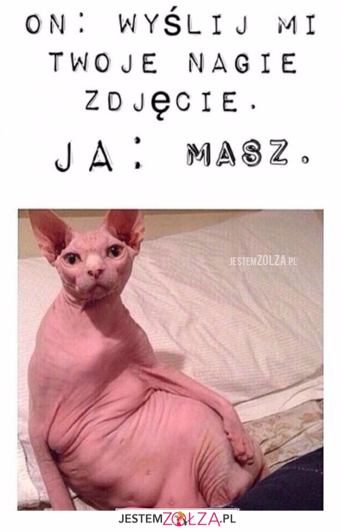 Wyślij mi zdjęcie