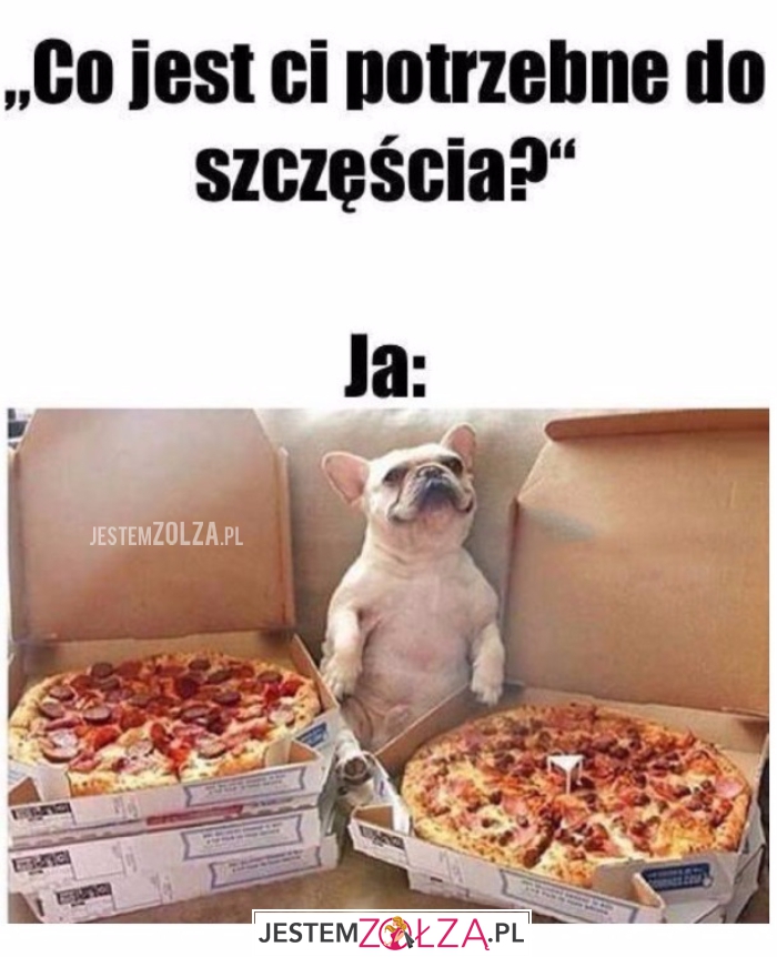 Co jest potrzebne?