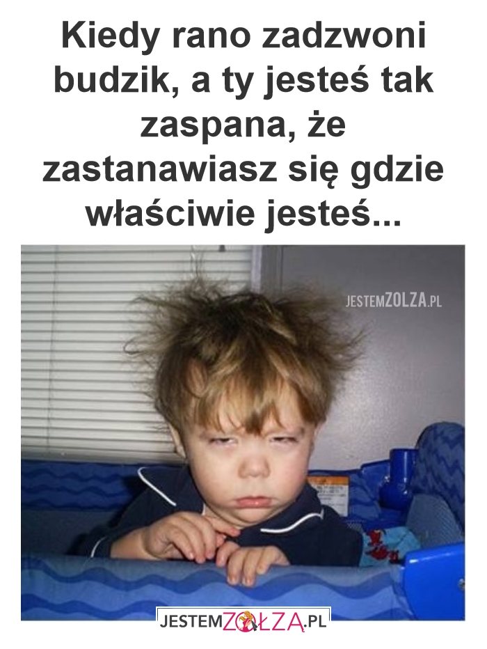 Budzik