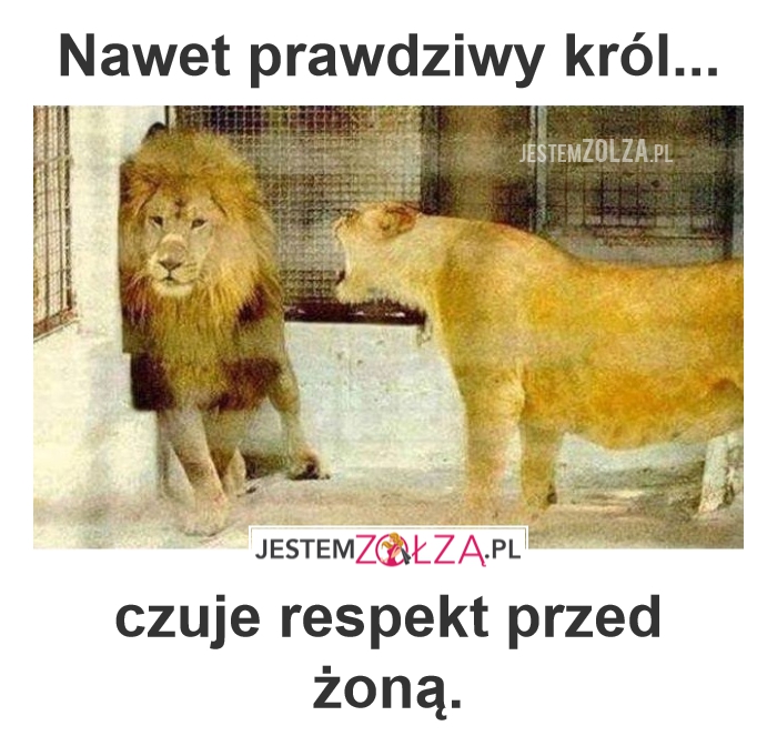 Król