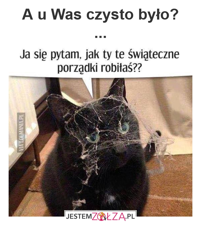 Porządki
