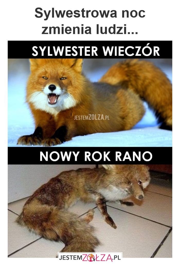 Sylwester