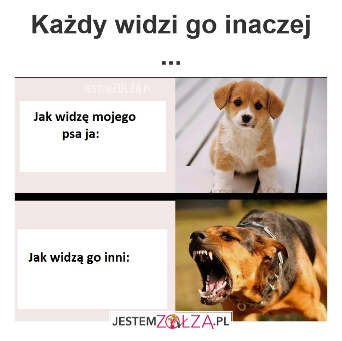 Punkt widzenia