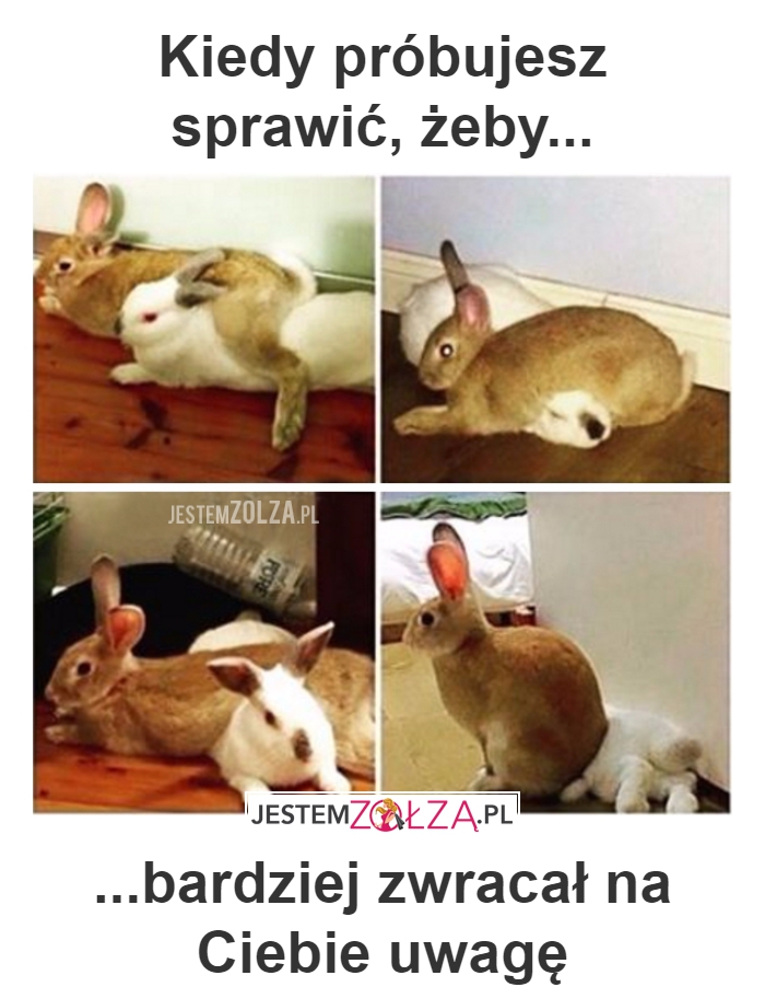 zwrócić uwagę