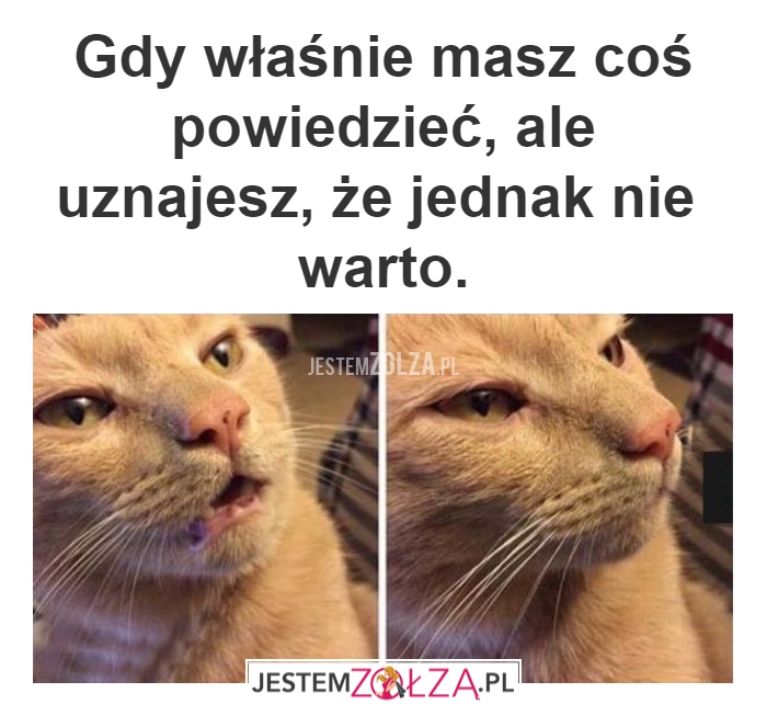 GDY WŁAŚNIE MASZ COŚ POWIEDZIEĆ