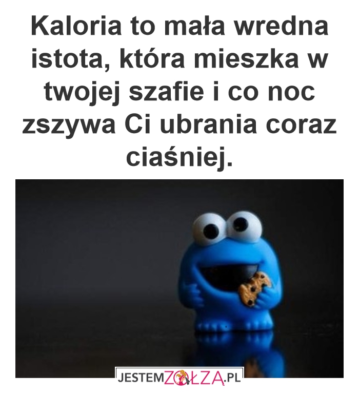 Kaloria