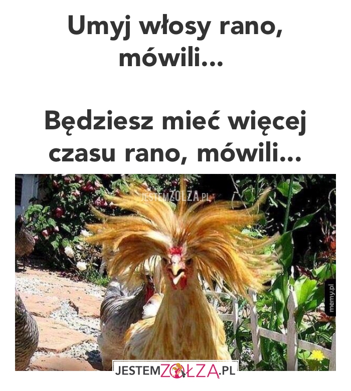 MÒWILI