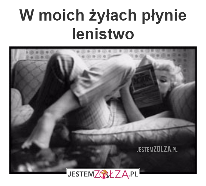 lenistwo