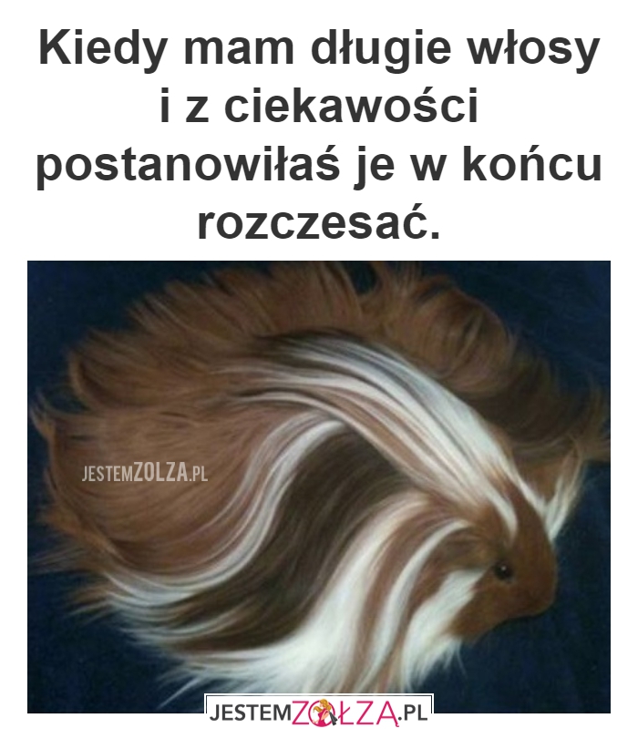WYGLĄDAM BAJECZNIE 