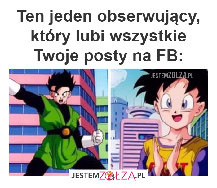 obserwujący