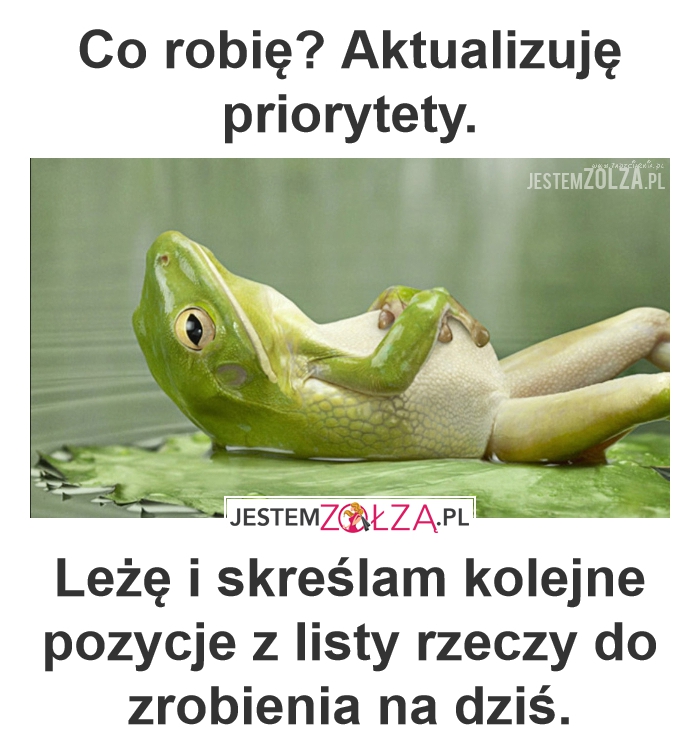 Co robię?