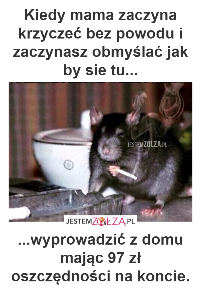 KIEDY MAMA KRZYCZY