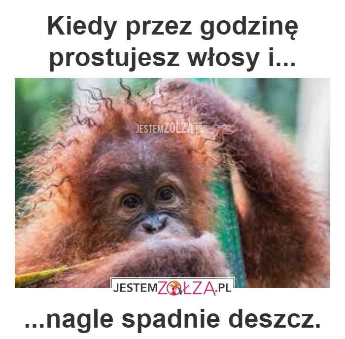 prostujesz włosy