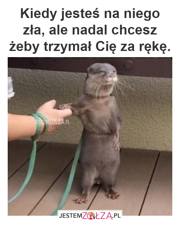 PRAWDZIWA ZOŁZA