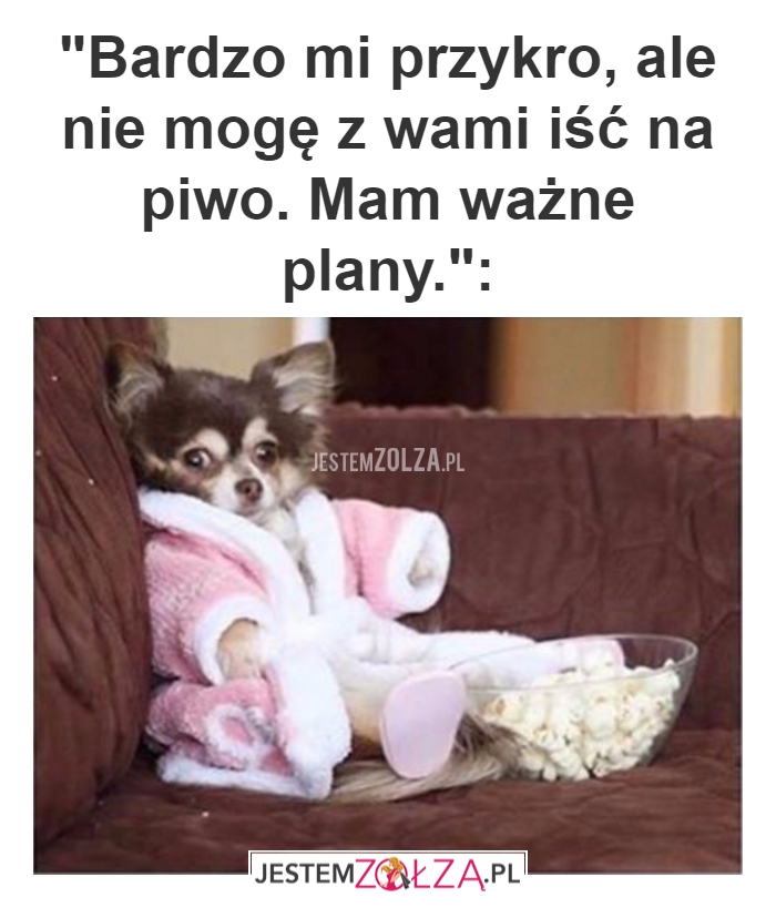 ważne plany