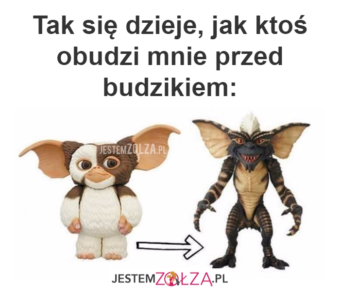 przed budzikiem