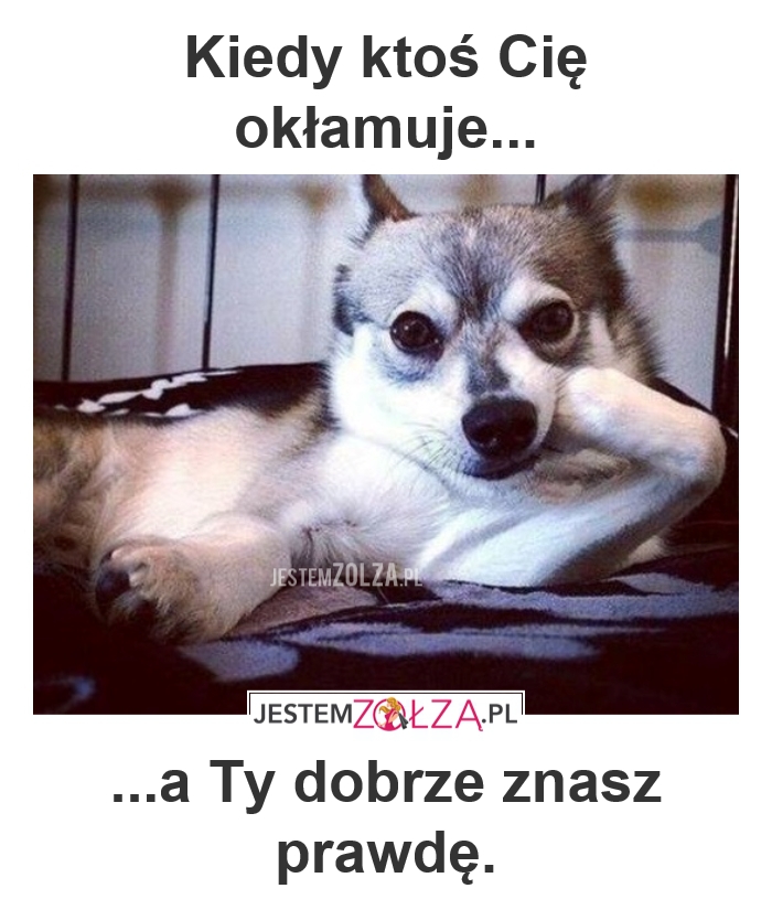 KŁAMCA