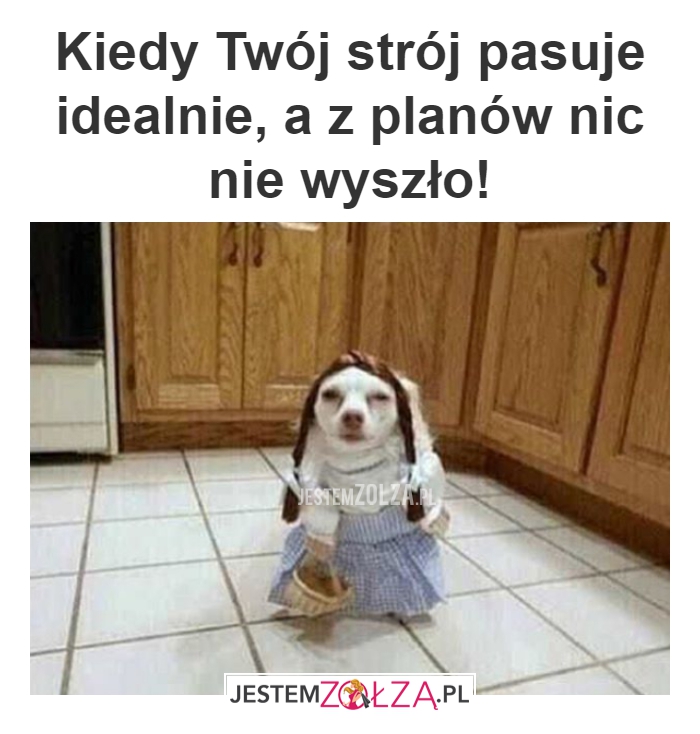 Odwołane plany