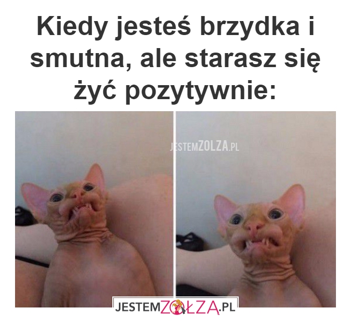  żyć pozytywnie