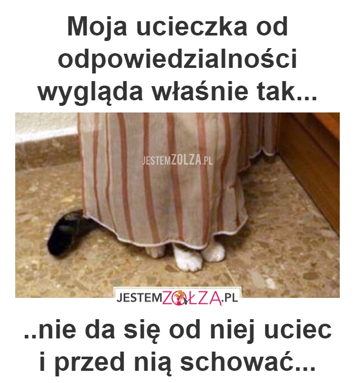Odpowiedzialność