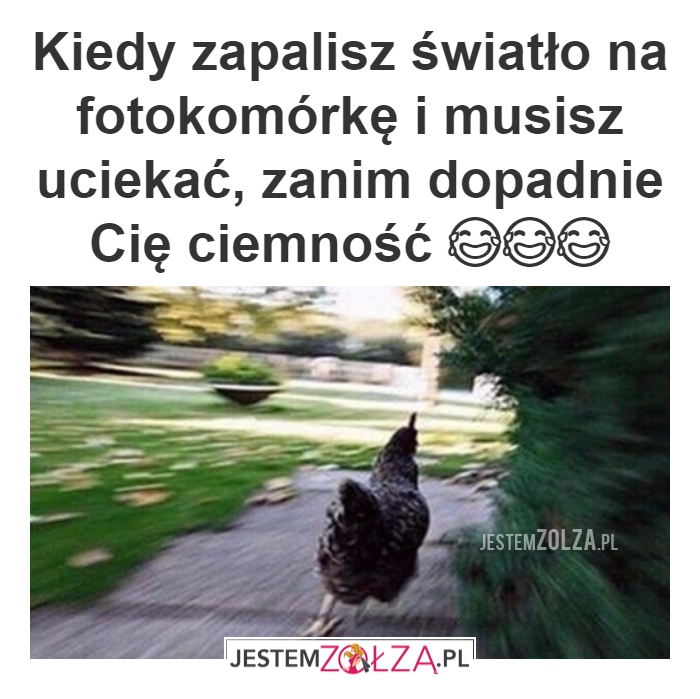 Światło