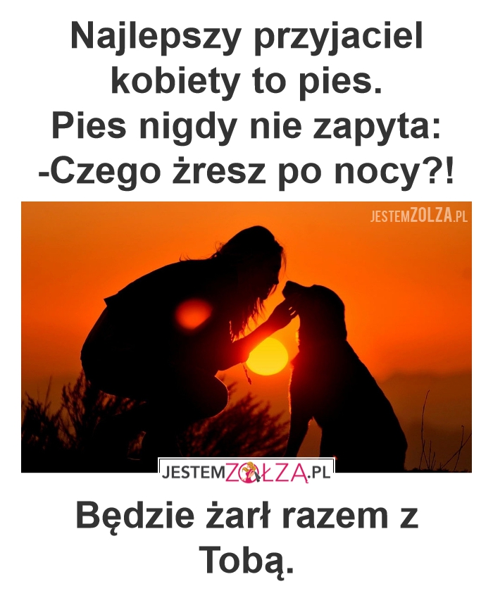 Pies