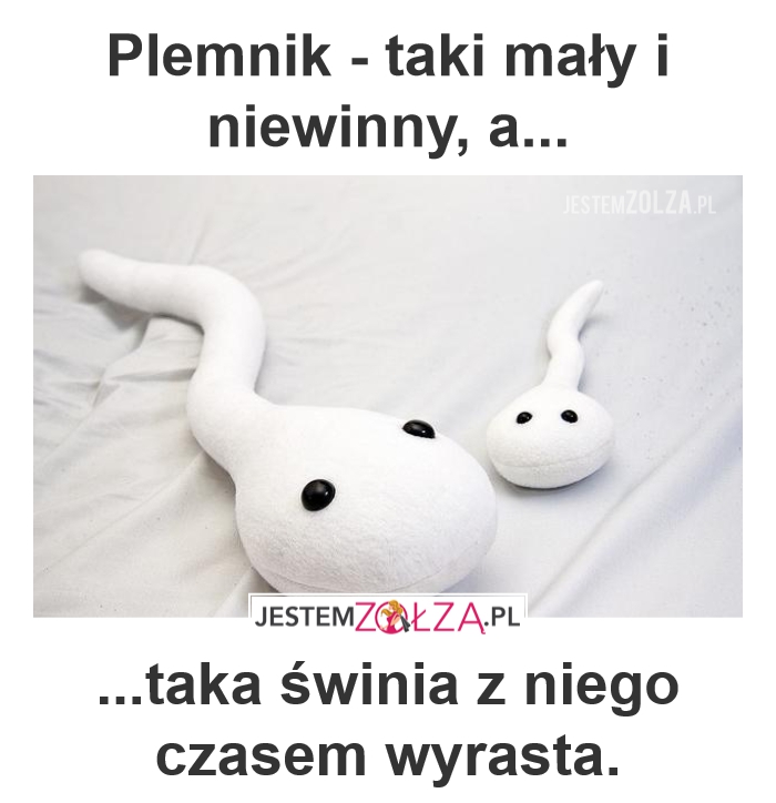 Plemnik