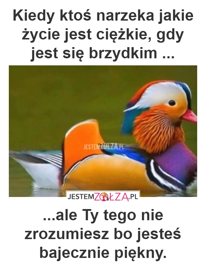 TO UCZUCIE