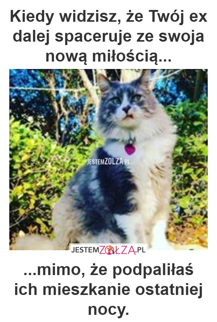 KIEDY WIDZISZ