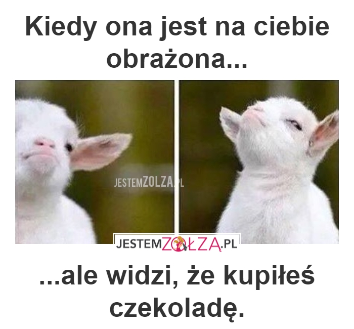 KOBIECY FOCH