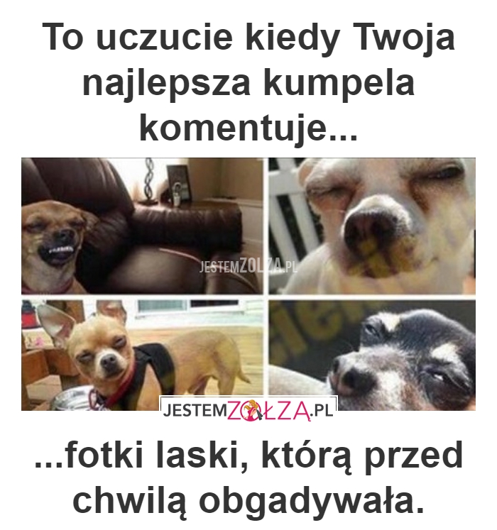 NAJLEPSZA KUMPELA
