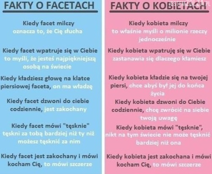 Fakty