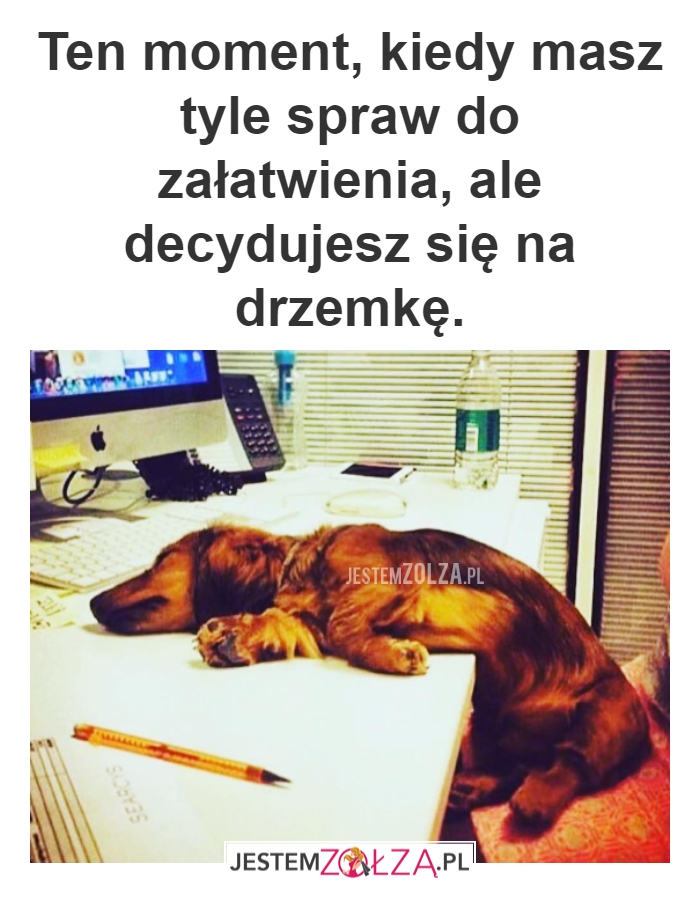 Drzemka