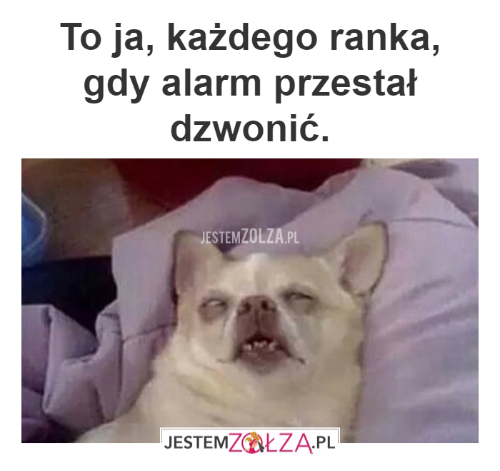 Alarm
