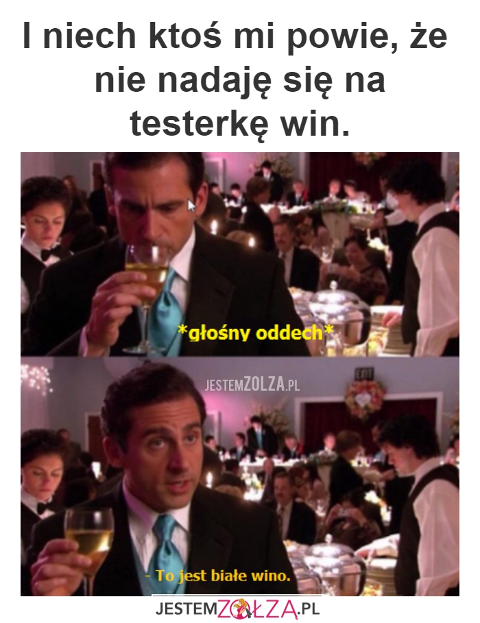 Testować, testować