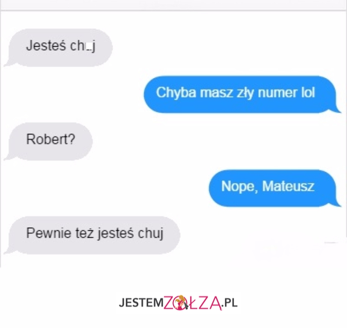 Jesteś...