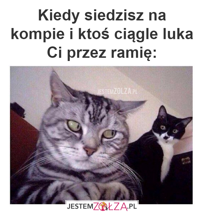 siedzisz na kompie